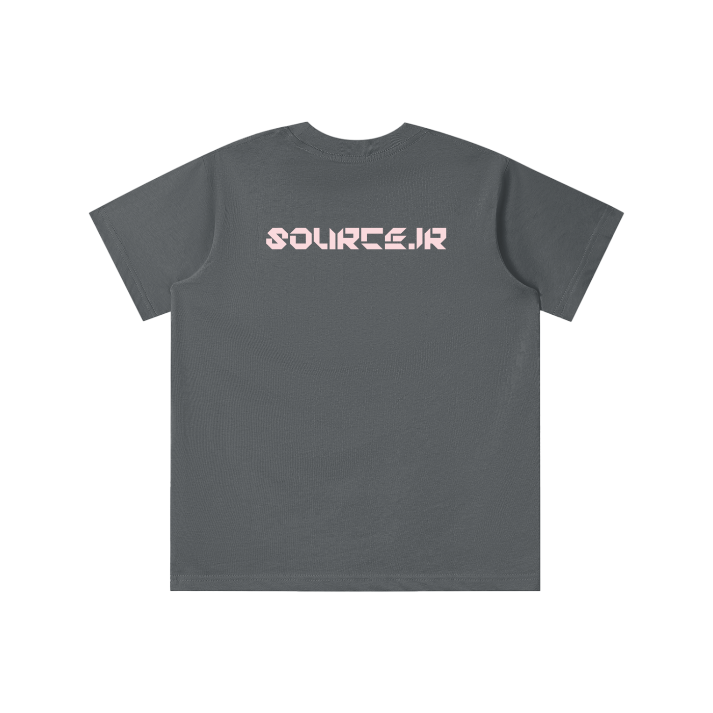 Gray t-shirt with 'SOLRCE.JR' logo on the back against a white background